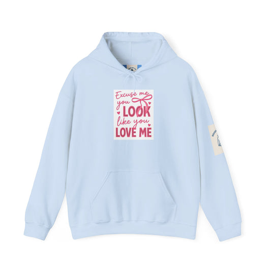 Excuse me you Look Like you Love Me Hoodie- Unisex Heavy Blend™ Hooded Sweatshirt